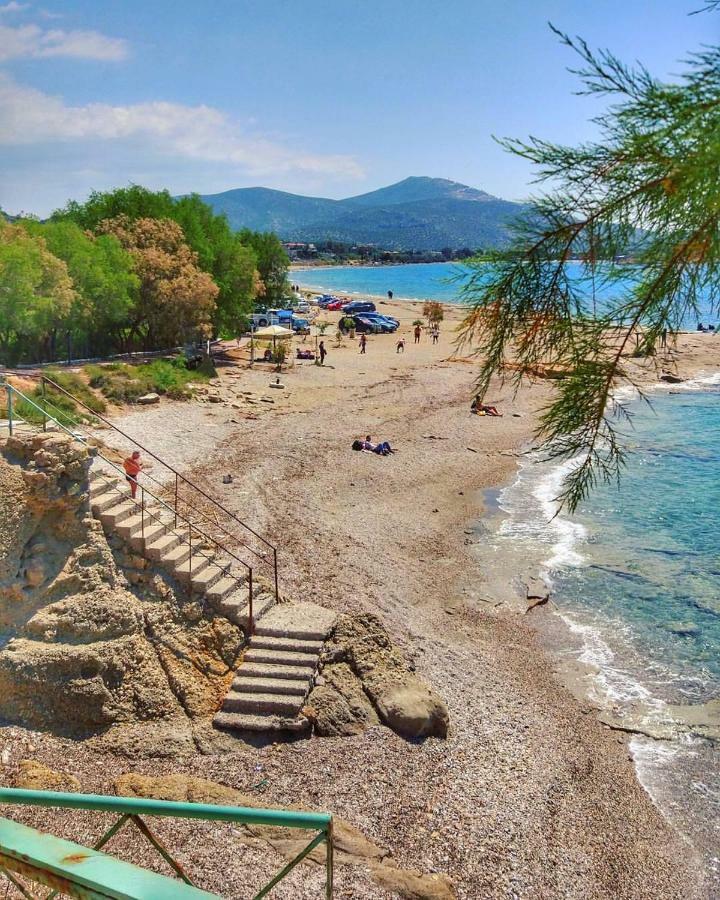 House,1000M From Beach Lagonisi Bagian luar foto
